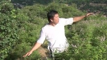 飛