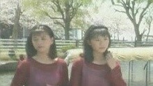 櫻花姐妹 - 離愁海岸