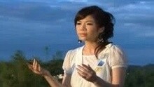 無情戀夢