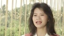詹雅雯 - 難忘樸子橋