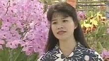 詹雅雯 - 無名花