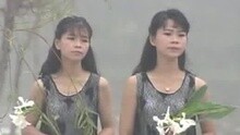 櫻花姐妹 - 絕望的人