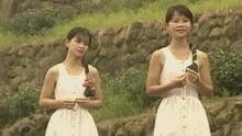 櫻花姐妹 - 無可能的夢