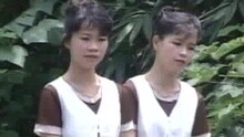 櫻花姐妹 - 心愛我己經要出嫁