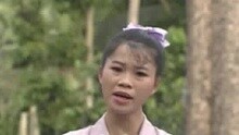 真情真愛