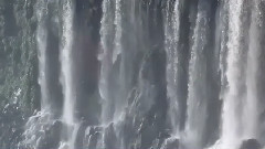 Cataratas de Iguazu? - Flight Being