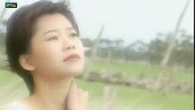 詹雅雯 - 當作不曾愛過你