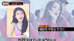 TV朝鮮 南瓜子 IU Cut