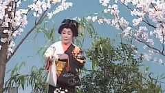 關東陽雨傘 & 大川ながし & べらんめえ蕓者 & 花笠道中 & 游俠街道 & 天竜戀母笠 & 江戶の閣太郎 & ひばりの渡り鳥だよ