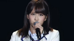 櫻の花びらたち