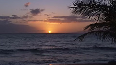 輕音樂,音樂短片 - Sea Of Love
