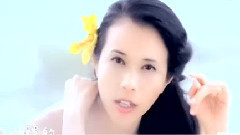 強檔主打星