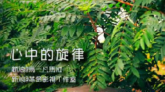 華語童星 - 心中的旋律
