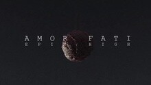 AMOR FATI 飯制版