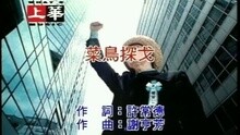 菜鳥探戈