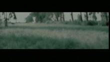 愛情飛走了 (國)