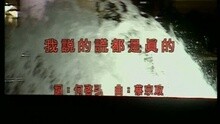 我說的謊都是真的