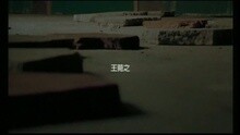 王苑之 - 小心易碎