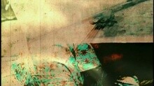 流金歲月