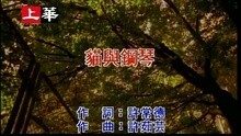 貓與鋼琴