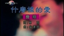 什么樣的愛