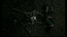 王苑之 - 手望