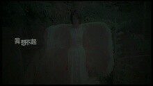 王苑之 - 我想不起(國)