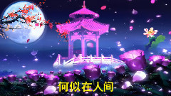 但愿人長久