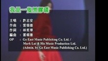 我是一只黑膠碟
