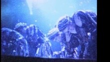這個冬天不太冷