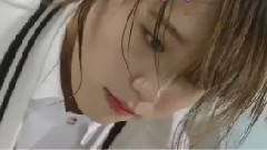 烏龜飛翔