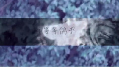 再等等鴿子