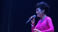 葉麗儀 - 星光照心窩 葉麗儀45年香港情演唱會 現場版