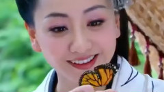 云中錦香