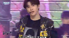 武斷入侵