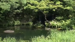 陶笛奇遇記