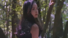 愛麗絲茜之漫游叢林