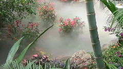 上海蝴蝶展上海哈哈鏡