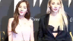 W KOREA Love Your活動