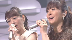 白い色は戀人の色