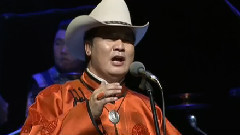 黑鬃馬