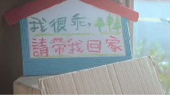 電影<我的男友和狗>先行版預告片2