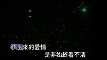 爭取來的愛情