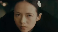 電影<殺破狼2>男主角張晉動作剪輯