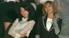 紅地毯 & 表演