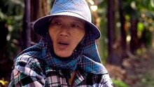 蔡依林 - 蔡依林演唱會紀錄片 葉永志篇
