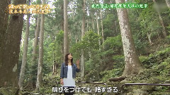 戀ざんげ