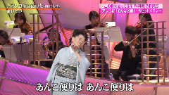 アンコ椿は戀の花