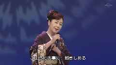 矢車草