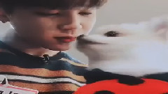 推特更新樸智旻和狗狗kiss